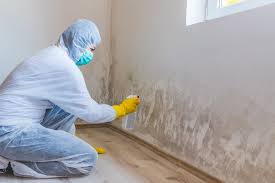 Best Comprehensive Air Testing for Mold Contaminants  in Half Moon Bay, CA